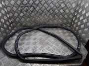 Türgummi links hinten Lexus RX 4 (L2)