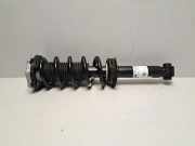 Stoßdämpfer hinten links