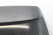 Heckklappe geschlossen Lexus RX 2 (U3) 1E0