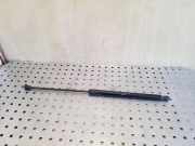 Heckklappe Gasdruckfeder links FORD FOCUS IV (HN) 1.0 EcoBoost BM51A406A10AD