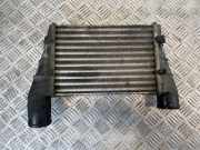 Ladeluftkühler VW PASSAT B6 (3C2) 2.0 TDI