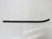 Türfensterleiste hinten links NISSAN JUKE (F16) 1.0
