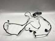 Türverkabelung hinten links BMW 5 (F10) 535 i 9256016