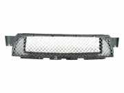 Gitter vorne unten BMW 3 (E46) 323 i 51117896273