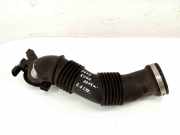 Schlauch für Luftversorgung Ford Kuga II (DM2) N07011A161C