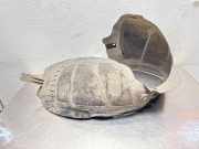 Innenkotflügel vorne links OPEL ASTRA J 1.7 CDTI 13271310