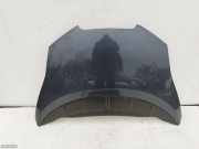 Motorhaube Nissan Leaf (ZE0)