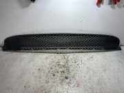 Gitter vorne unten MERCEDES-BENZ A (W177) A 200 (177.087) A1778853203