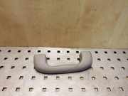 Dachgriff vorne links