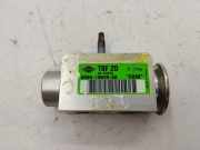 A/C Conditioner Expansion Valve FORD C-MAX II (DXA/CB7, DXA/CEU) 1.6 TDCi AV6N19849AA
