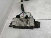 Relais Toyota RAV 4 IV (A4) 1327000010