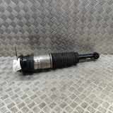 Rear right pneumo shock absorber BMW 5 (G60) i5 eDrive40 5A01D95