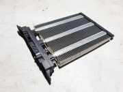 Elektrischer Schulterschulterkühler