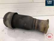 Gasdruckfeder BMW X5 (E70) 37126790079