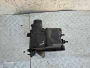 Luftfilterkasten NISSAN JUKE (F15) 1.6 1KT1A