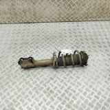 Stoßdämpfer vorne links