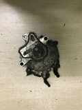 Vakuumpumpe LAND ROVER DISCOVERY III (L319) 2.7 TD 4x4 4R8Q2A451AE