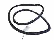 Türgummi links vorne Opel Insignia A Stufenheck (G09)