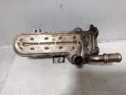 Abgaskühler VW Passat B6 (3C2) 038131513AD