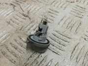 Glühlampe Xenon Citroen C4 II Grand Picasso ()