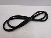 Türdichtung Lexus NX 1 ()