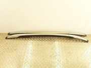 Dachreling links Renault Koleos I (HY)