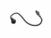 Klopfsensor LAND ROVER RANGE ROVER SPORT (L320) 2.7 D 4x4 4R8Q12A699AB