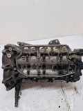 Motorkopf NISSAN NP300 NAVARA (D40) 3.0 dCi 4WD 8200871992