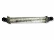 Ladeluftkühler MERCEDES-BENZ A (W169) A 200 CDI (169.308) A1695000000