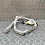 Dach SRS rechts JAGUAR S-TYPE (X200) 2.5 V6 2R83-14K159-AL