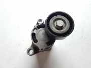 Riemenspanner BMW 4 Gran Coupe (F36) 420 d 1010342