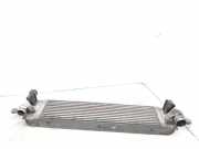 Ladeluftkühler RENAULT KOLEOS I (HY_) 2.0 dCi 4x4 (HY0K) P3578003