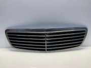 Gitter Grill vorne links MERCEDES-BENZ E (W211) E 220 CDI (211.006) 2118800583
