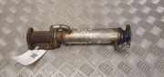 Abgaskühler Fiat Ducato Kasten (244) 869688X