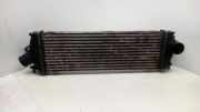 Ladeluftkühler NISSAN PRIMASTAR Furgon (X83) 2.0 dCi 115 988650B