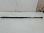 Heckklappe Gasdruckfeder rechts VW BEETLE (9C1, 1C1) 1.6