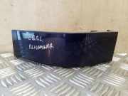 Lampenverkleidung hinten links