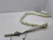 SRS Modul Dach links BMW 5 Touring (E61) 525 d 85706147805J