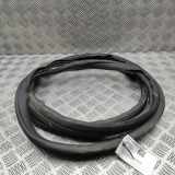 Türgummi rechts vorne Ford Tourneo Custom V362 Bus (F3) JK21V20709AB