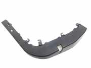 Vordere rechte Türleiste unten JAGUAR F-TYPE Coupe (X152) 2.0 i4 EX53208B20A