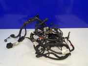 Motor Kabelbaum VOLVO V70 III (BW) D5 31296239 0281003047