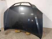 Motorhaube LEXUS RX (_U3_) 400h AWD