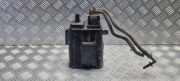 Kraftstoffdampffilter (EVAP) HYUNDAI i20 (PB, PBT) 1.2 314201J000