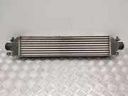 Ladeluftkühler OPEL COMBO Furgon/Estate (X12) 1.6 CDTI 896255500