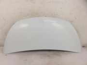 Motorhaube Opel Vivaro B Kasten (X82)