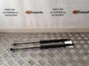 Heckklappe Gasdruckfeder links RENAULT ZOE (BFM_) ZOE 904502915R