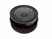 Türlautsprecher vorne links