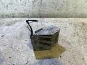 Relais RENAULT MEGANE CC (EZ0/1_) 1.6 16V (EZ0U, EZ1U) A66GF25