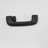 Dachgriff hinten links