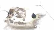 Fensterwaschtank FIAT COUPE (175_) 2.0 16V